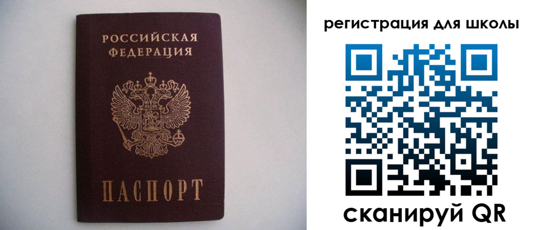 прописка поиск в Рошале